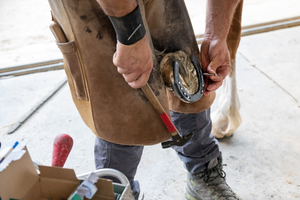 FARRIER TOOLS