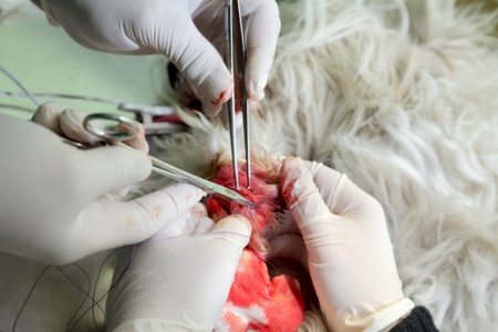 SURGICAL INSTRUMENTS