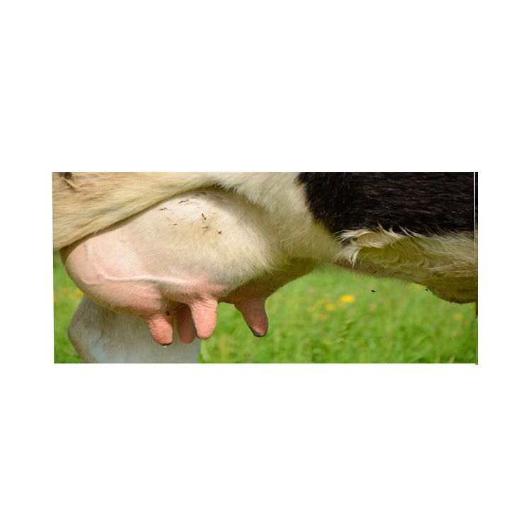 UDDER CARE INSTRUMENTS