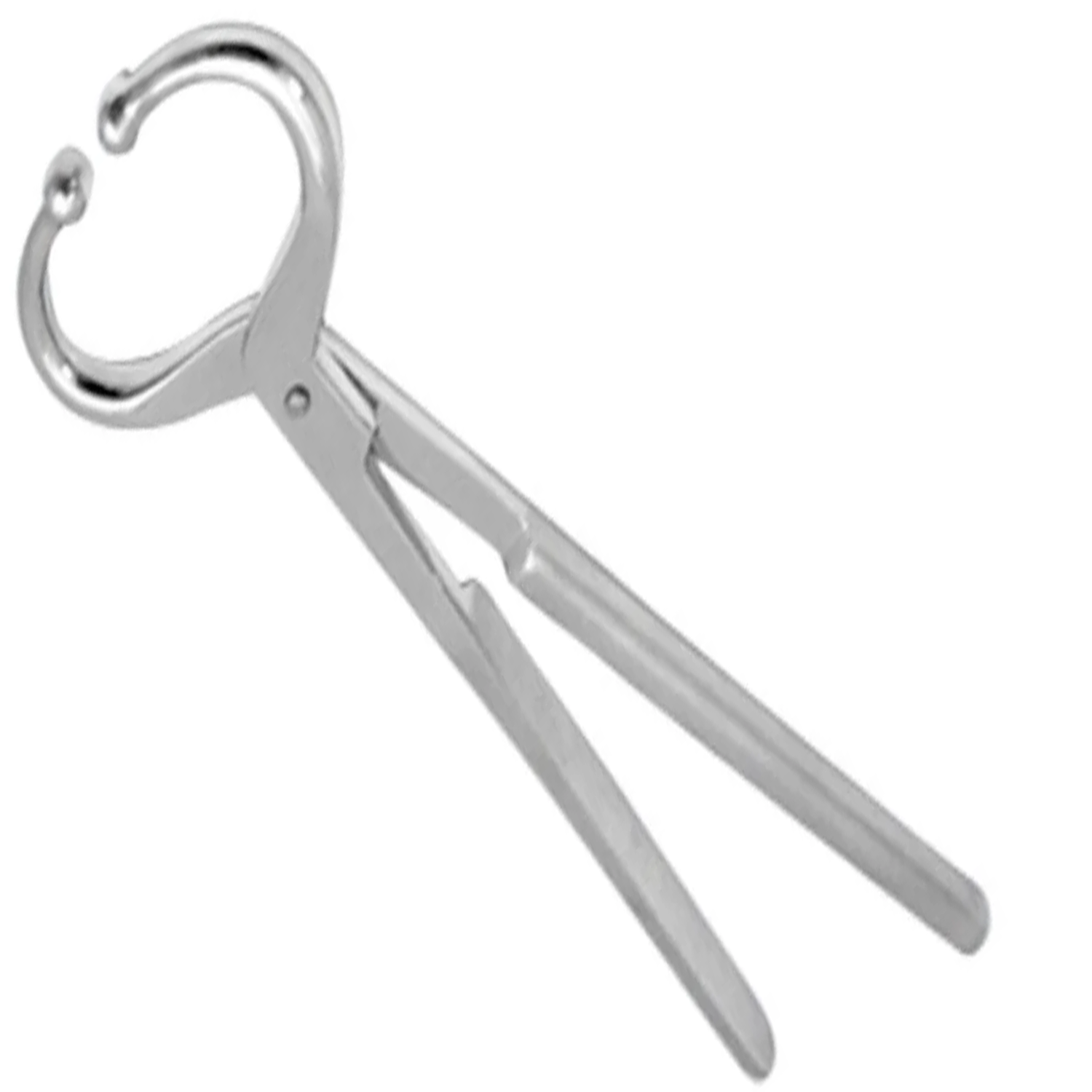 (WI-833) BULL HOLDER – LONG HANDLE 19”????