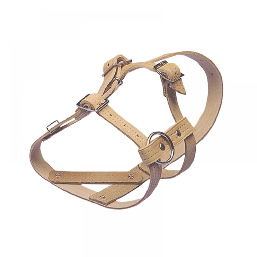 (WI-475) SHEEP AND RAM HALTER HEAVY????