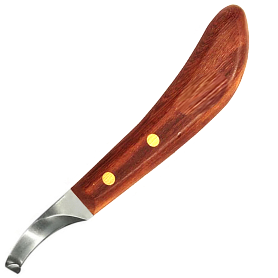 (WI-1261-R) DROP BLADE HOOF KNIFE LONG HANDLE RIGHT????