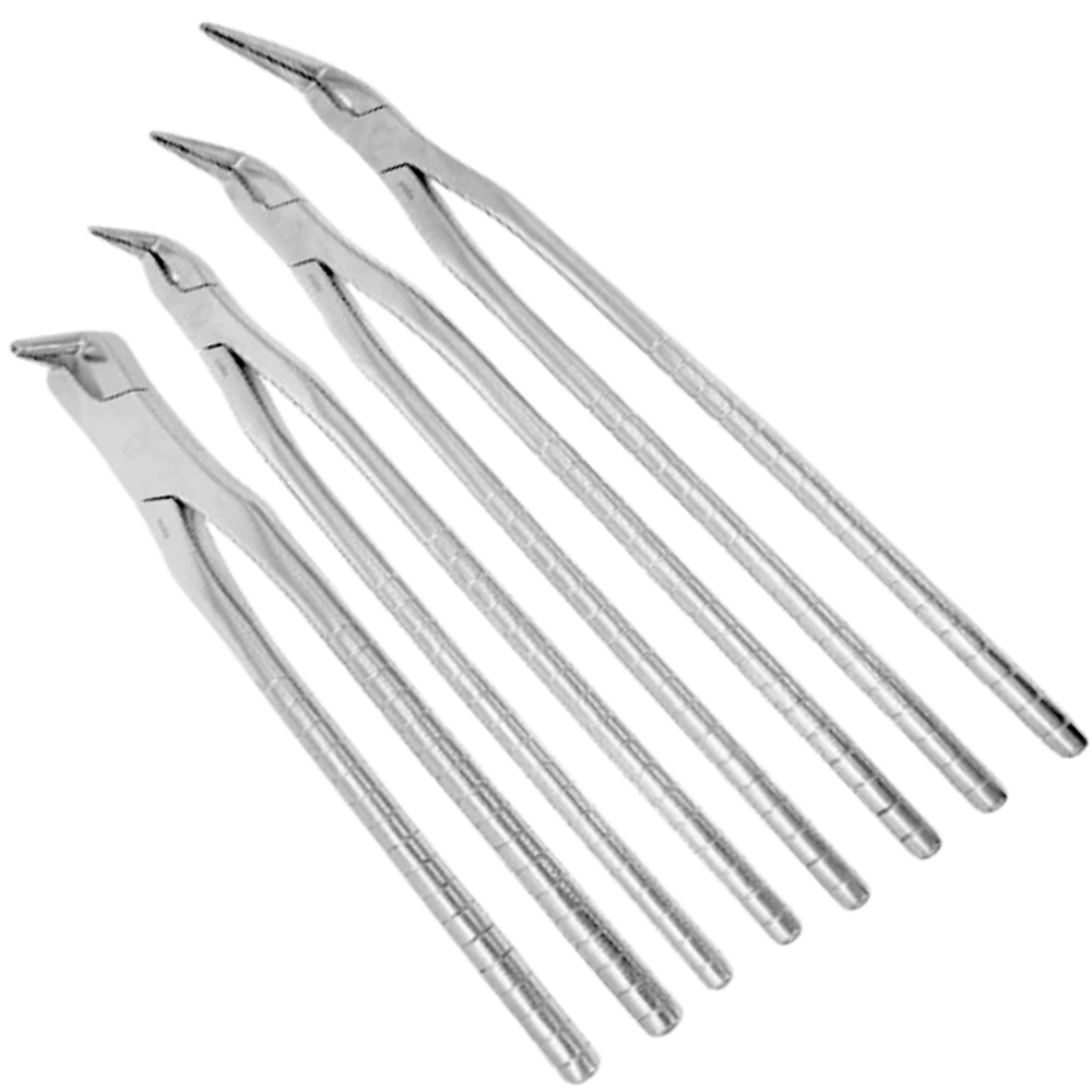 (WI-15030) EQUINE DENTAL FRAGMENT DRILL 4-PIECE SET????