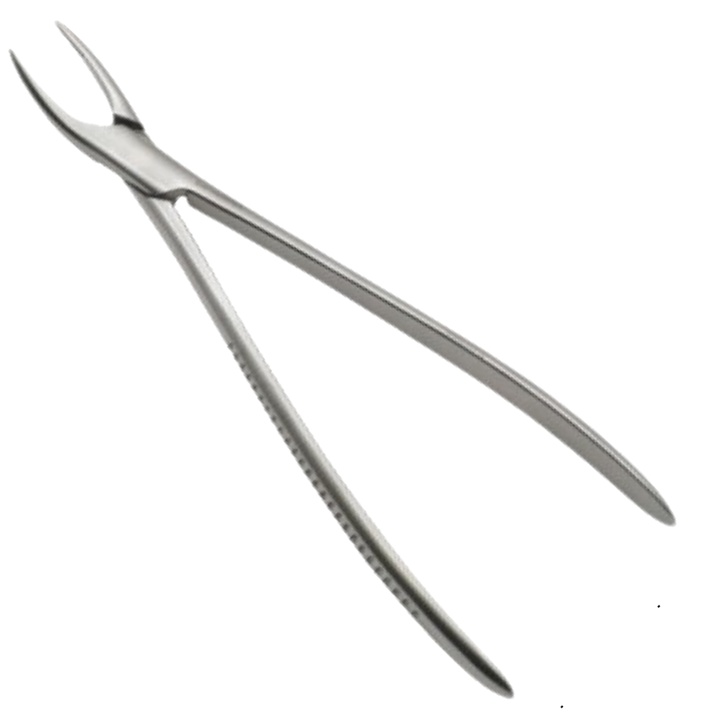 (WI-15045) ROOT FRAGMENT FORCEP????