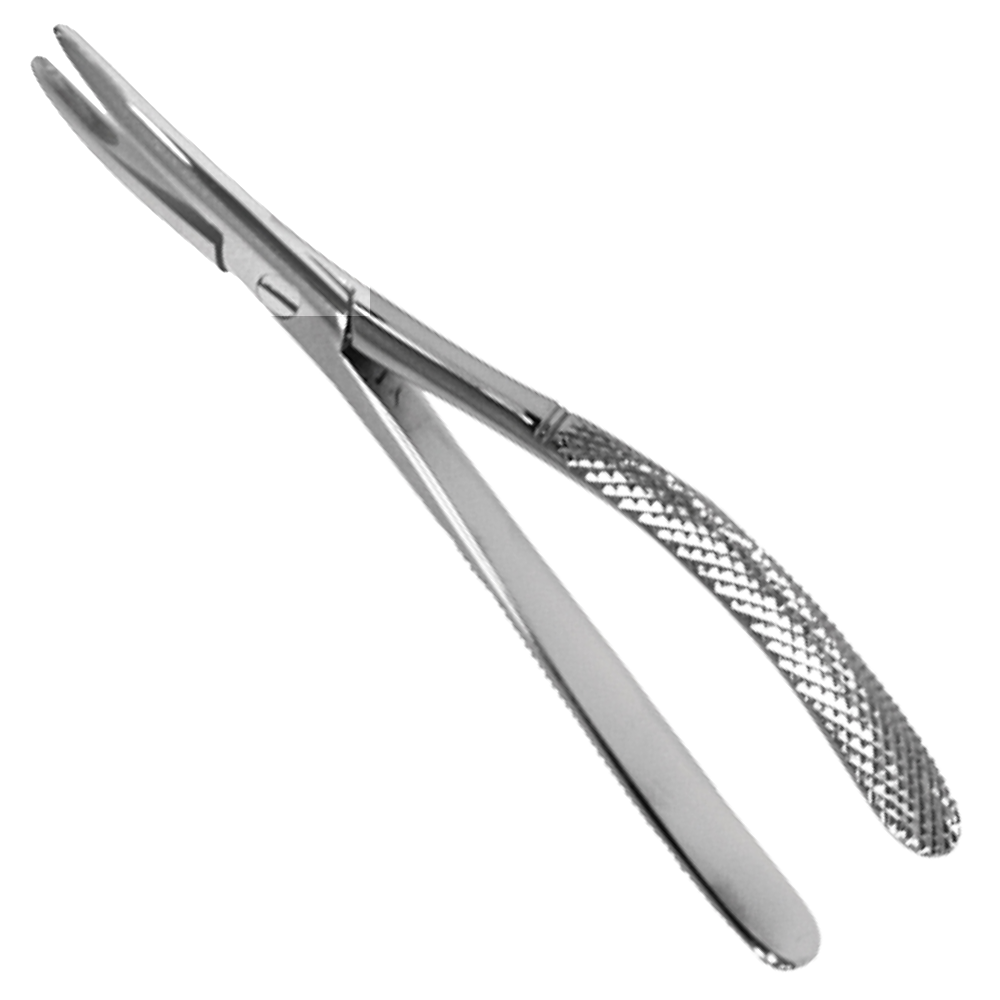 (WI-15090) FELINE DENTAL EXTRACTOR????