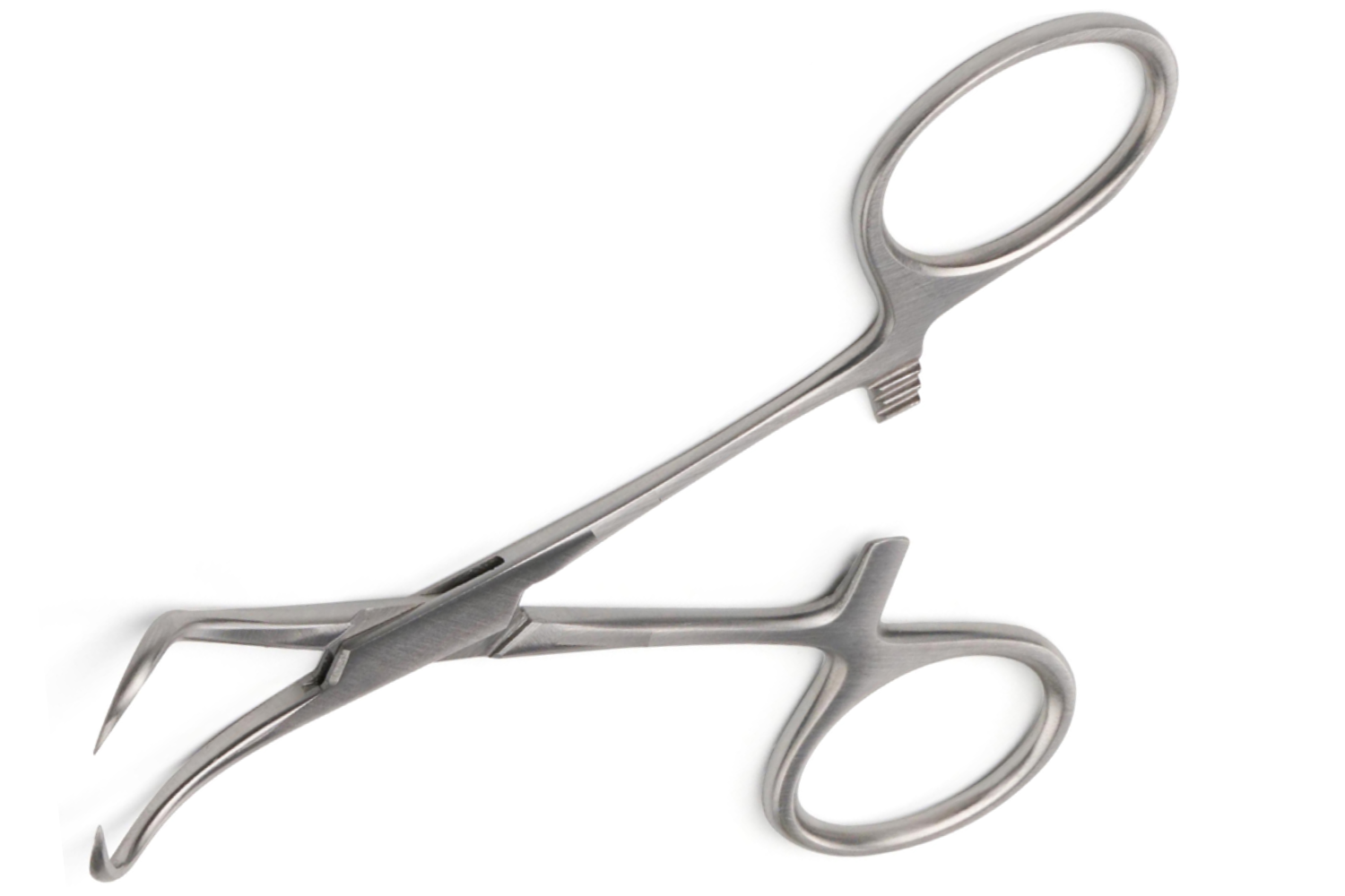 (WI-10025) ALLIS BABY TISSUE AND ORGAN HOLDING FORCEPS✂