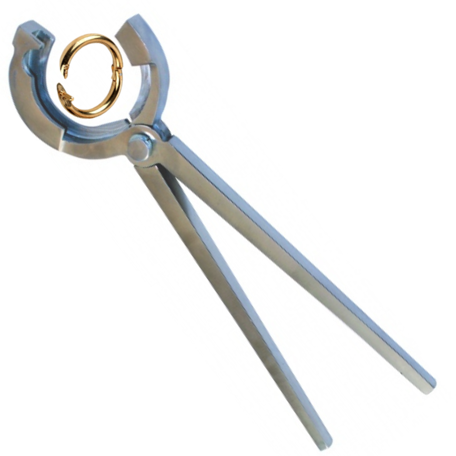 (WI-325) BULL RING FORCEPS 14″????