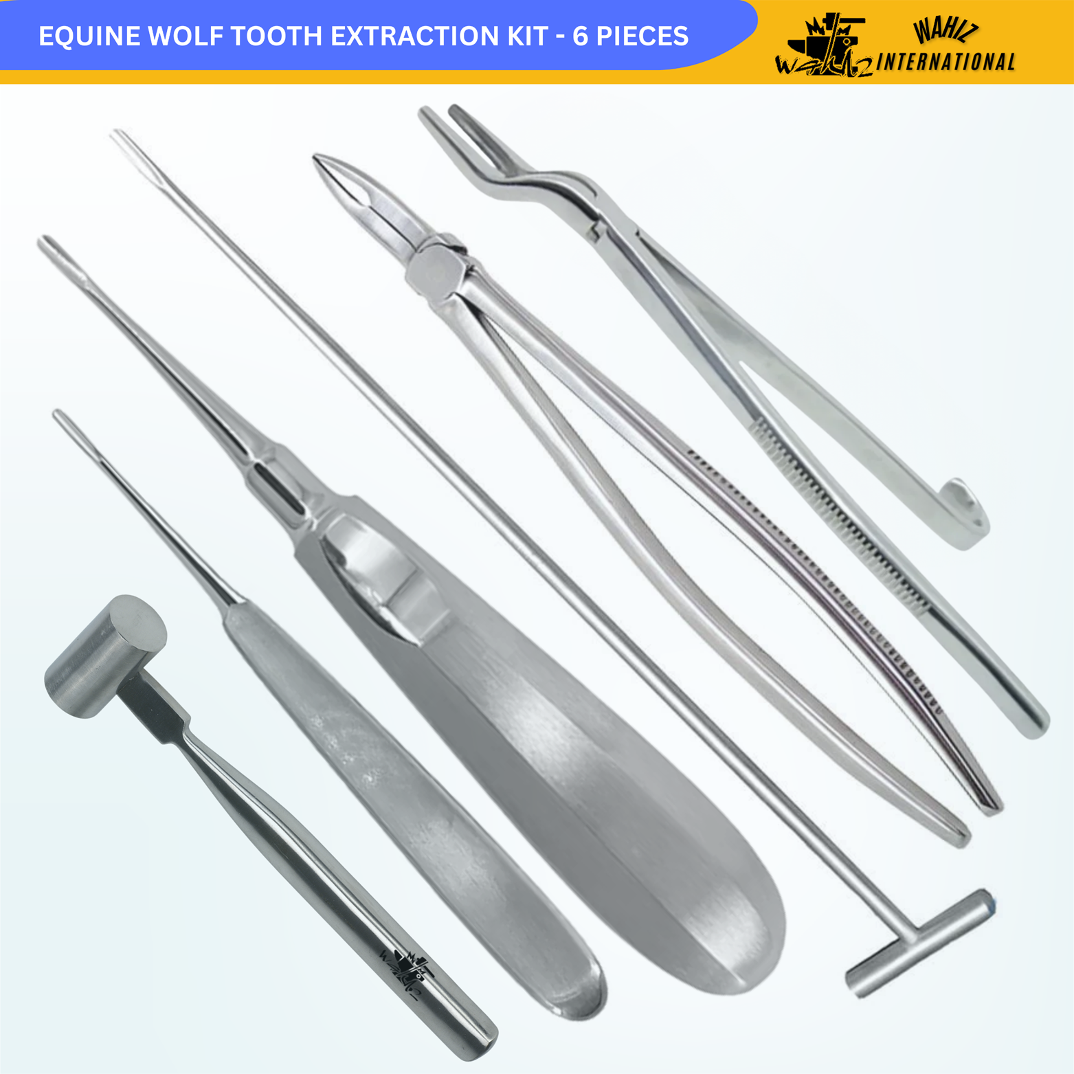 (WI-15057) EQUINE WOLF TOOTH EXTRACTION KIT – 6 PIECES✂????