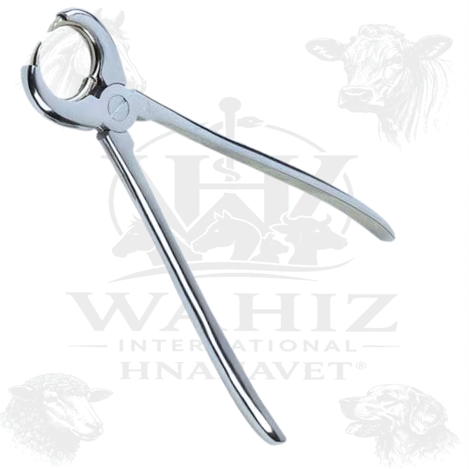 BULL RINGS/APPLICATORS