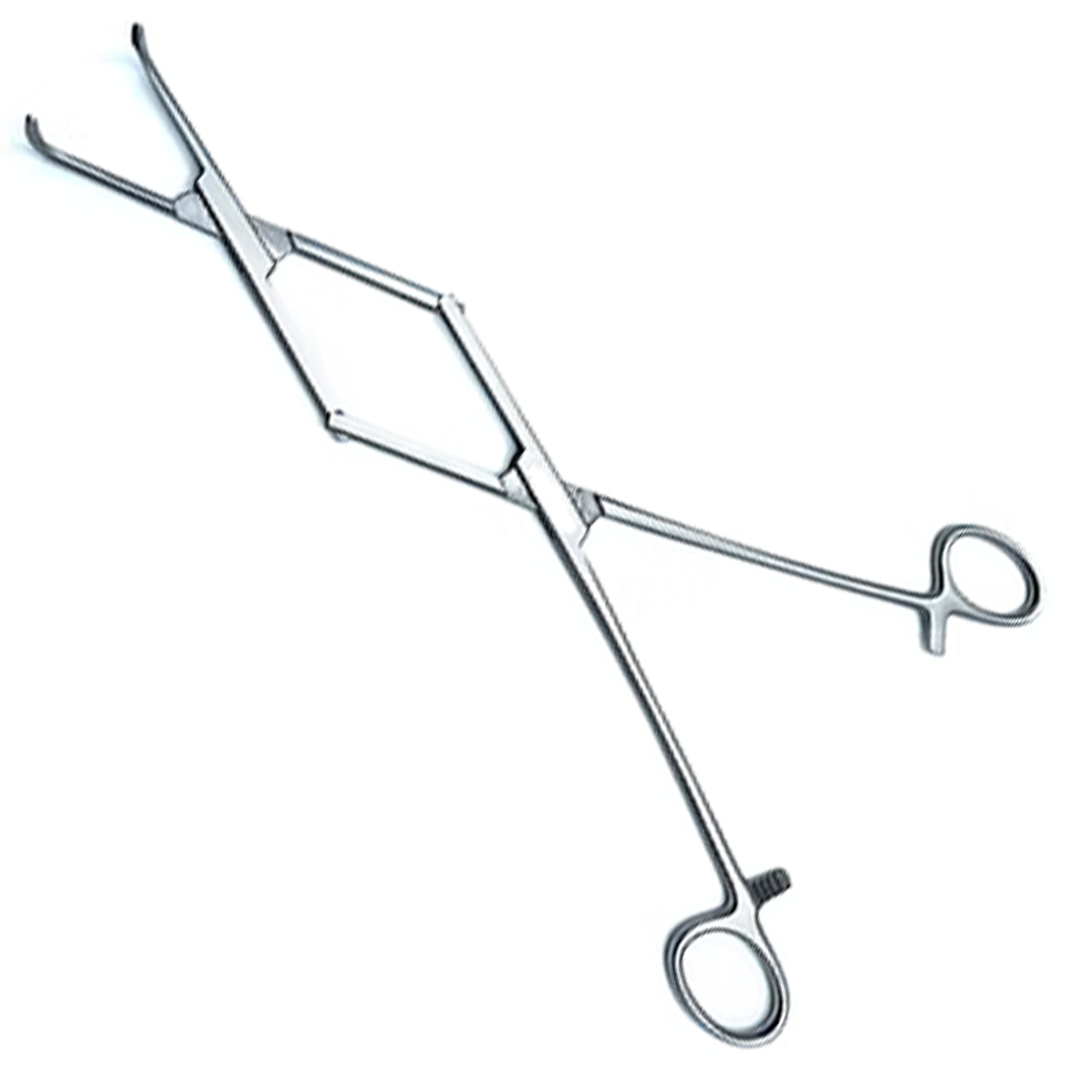 (WI-15019) PSRIODONTAL FORCEPS