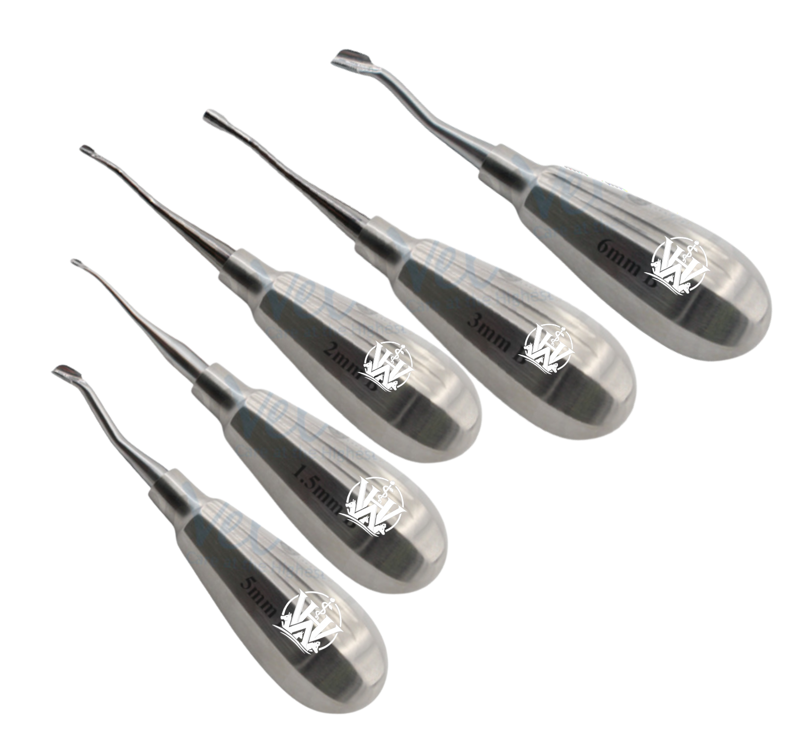 (WI-160023) Winged Dental Elevator Serrated Backward Angle having Short Handle - Set of 6