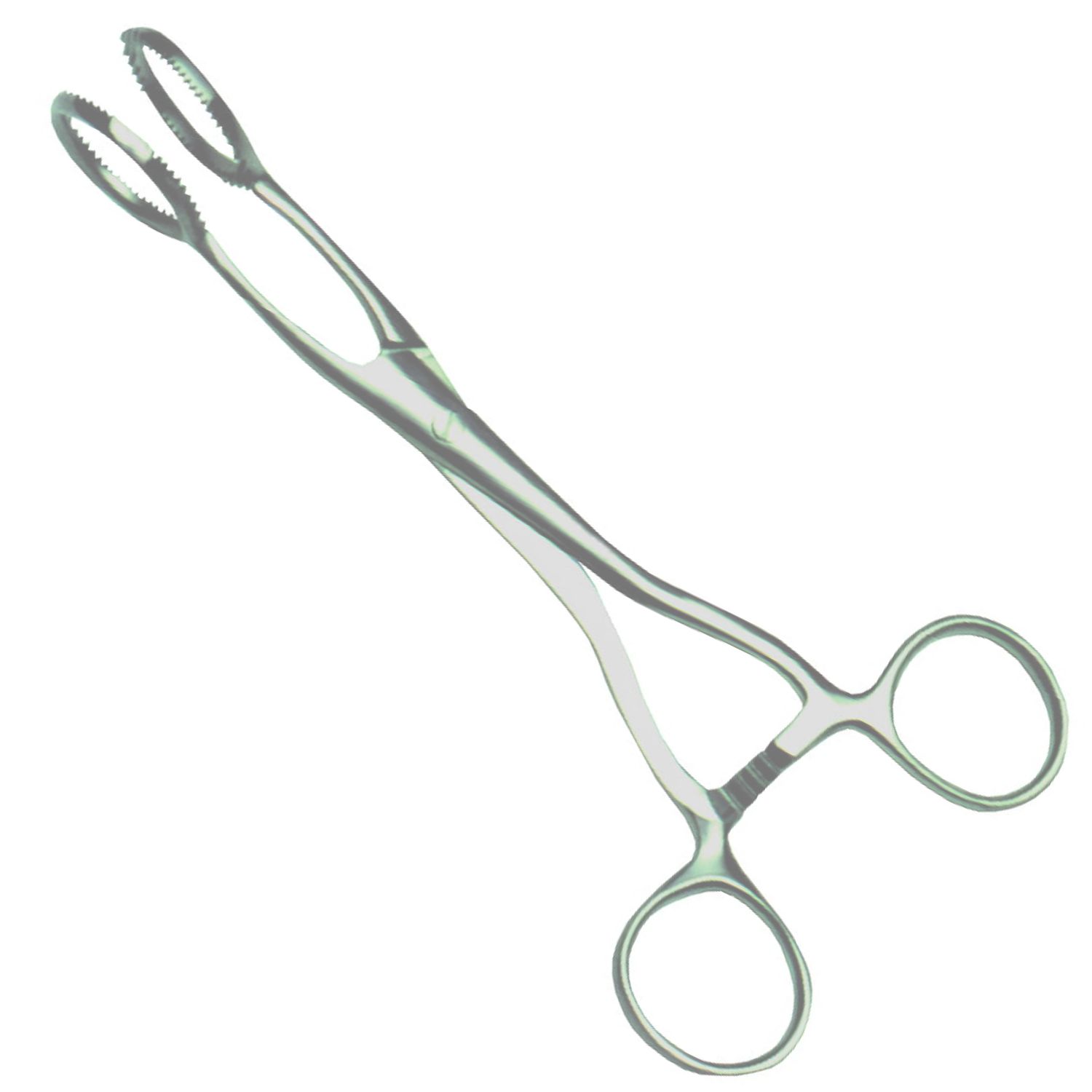 (WI-10120) TONGUE CLAMP