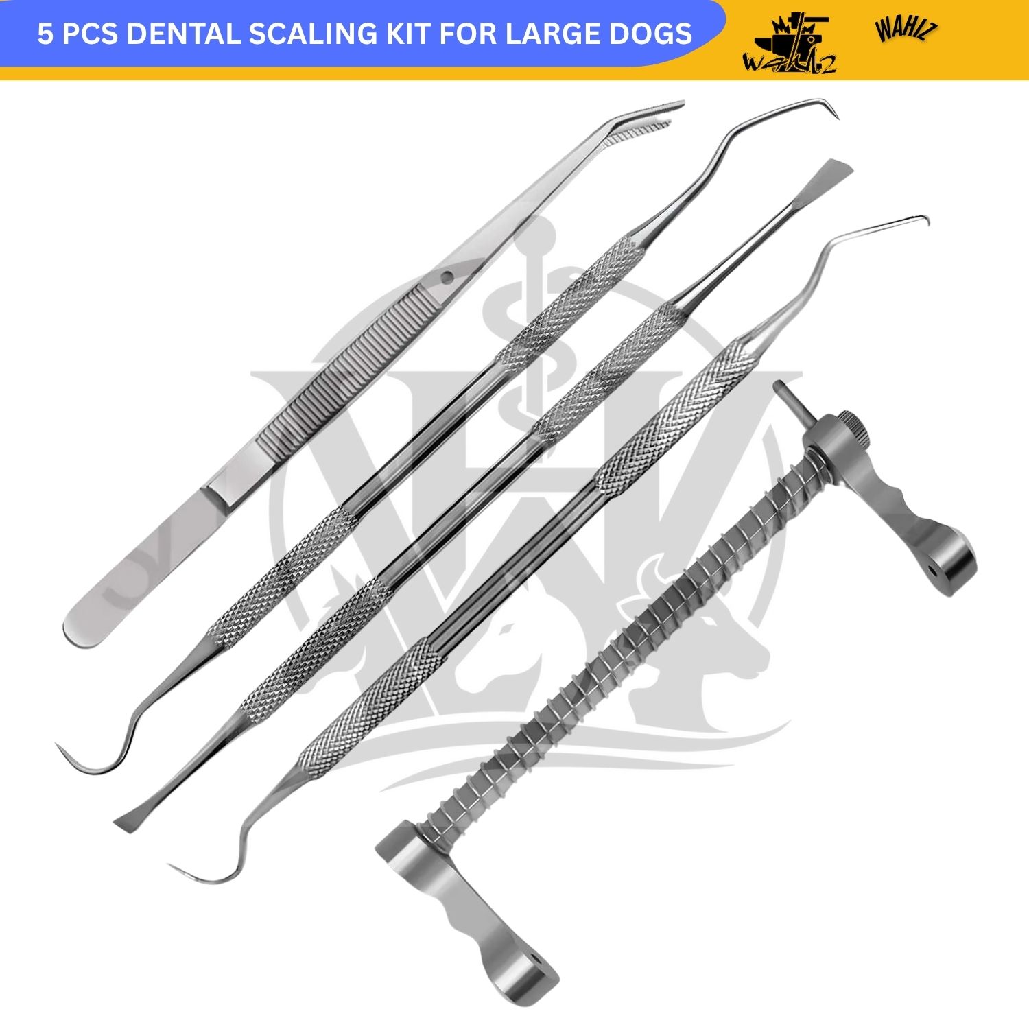 (WI-3239) 5 PCS DENTAL SCALING KIT FOR LARGE DOGS