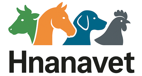 hnanavet logo1-Photoroom
